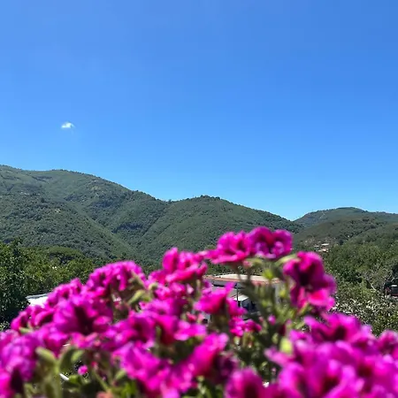 Bed and Breakfast Ci.vico14